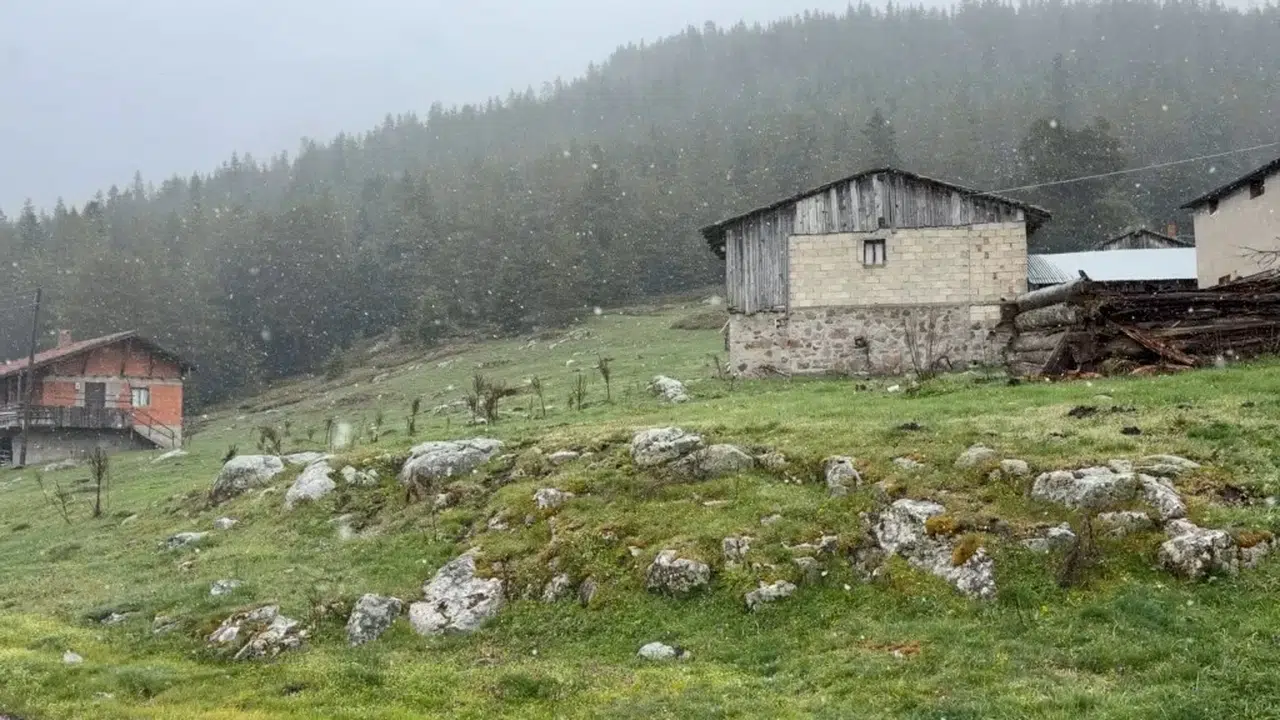 Bolu'da bahar mevsimi yerini kışa bıraktı: Mayıs ayında lapa lapa kar sürprizi