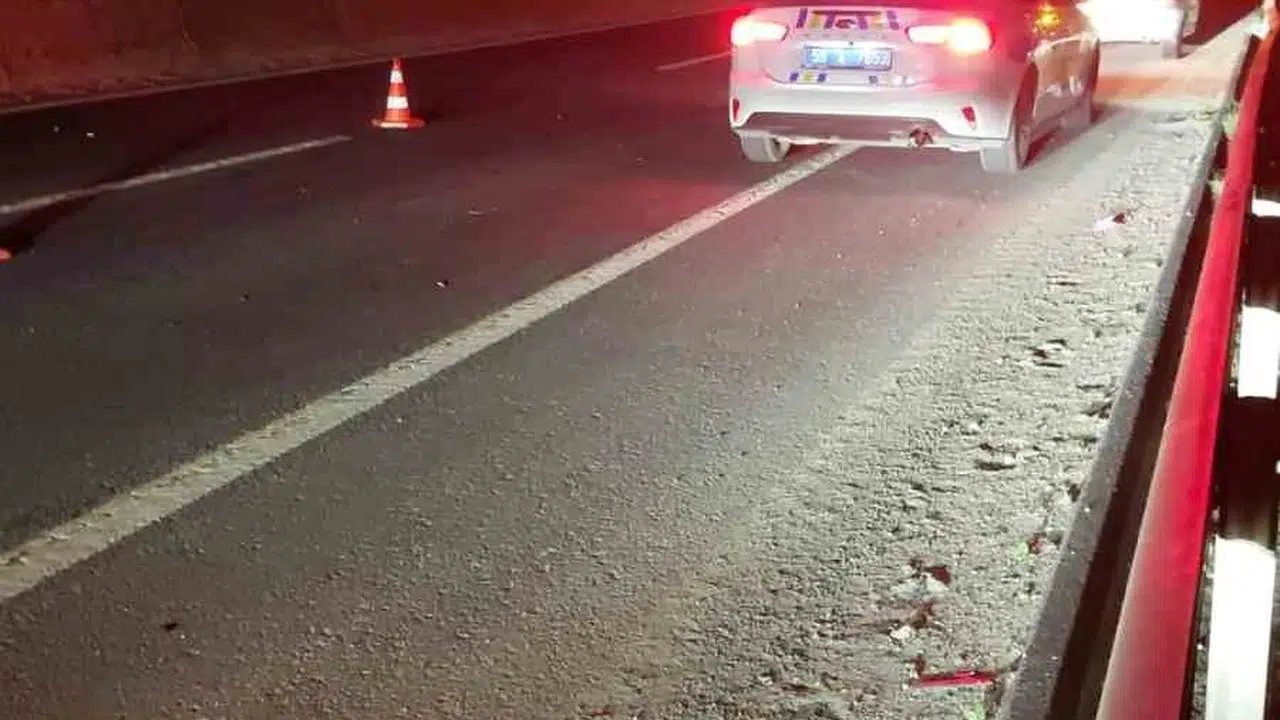 Çerkezköy’de at sürüsü trafiği birbirine kattı: Üç araç hurdaya döndü