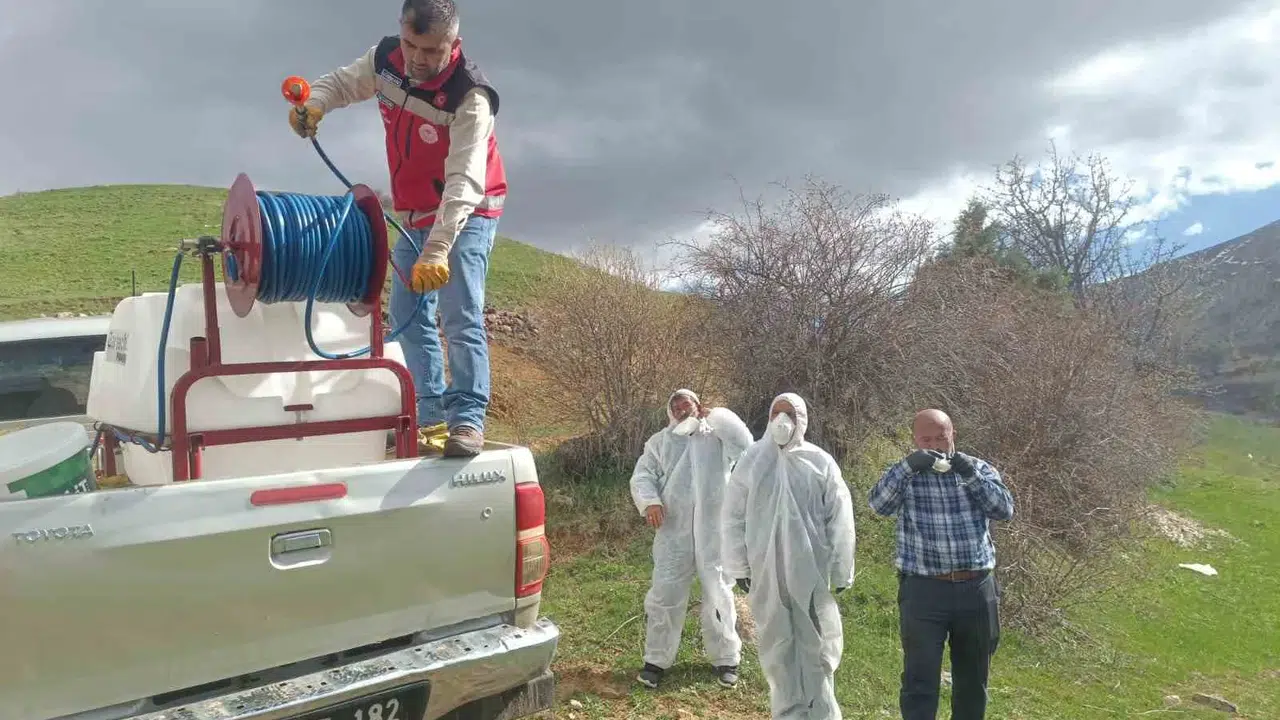 Gümüşhane’de korkutan istila: Köy halkı tedirgin, ekipler seferber oldu