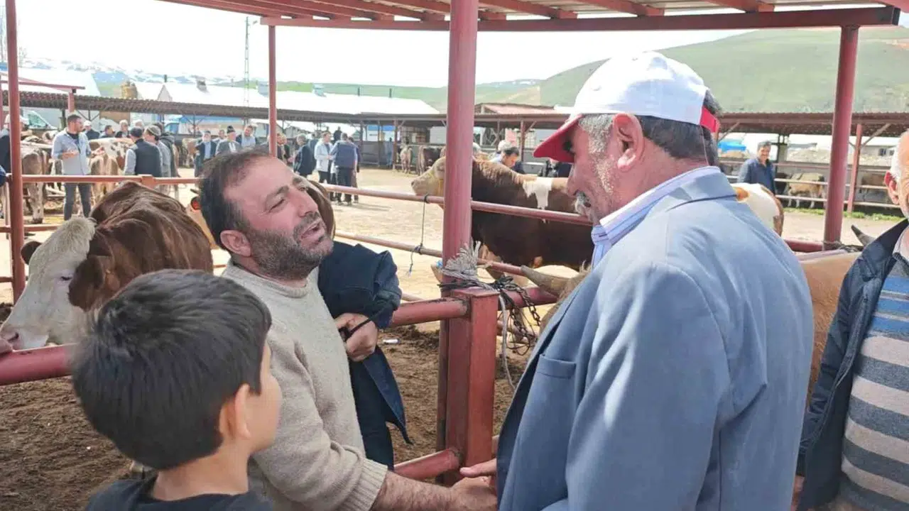 Kurban pazarlarında cep yakan tablo: Fiyatlar 600 bin liraya dayandı