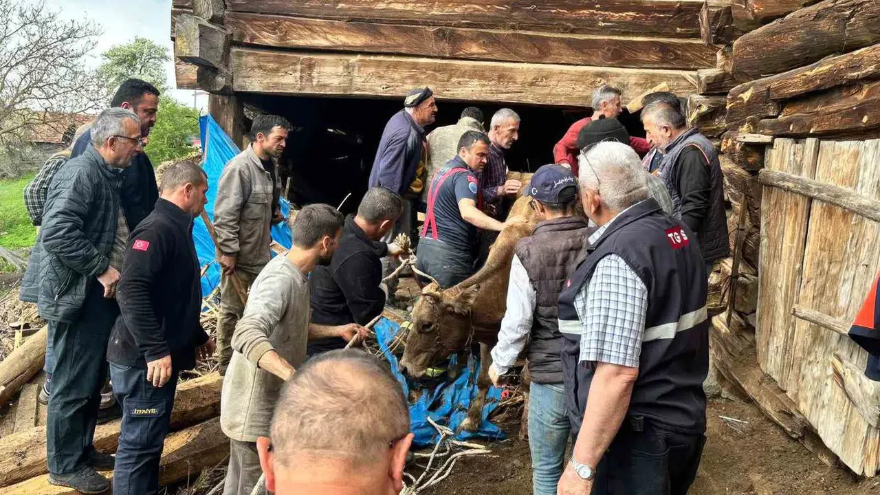 Kastamonu’da yürekleri ağza getiren olay: Ahır çöktü, 63 yaşındaki kadın enkazdan son anda çıkarıldı