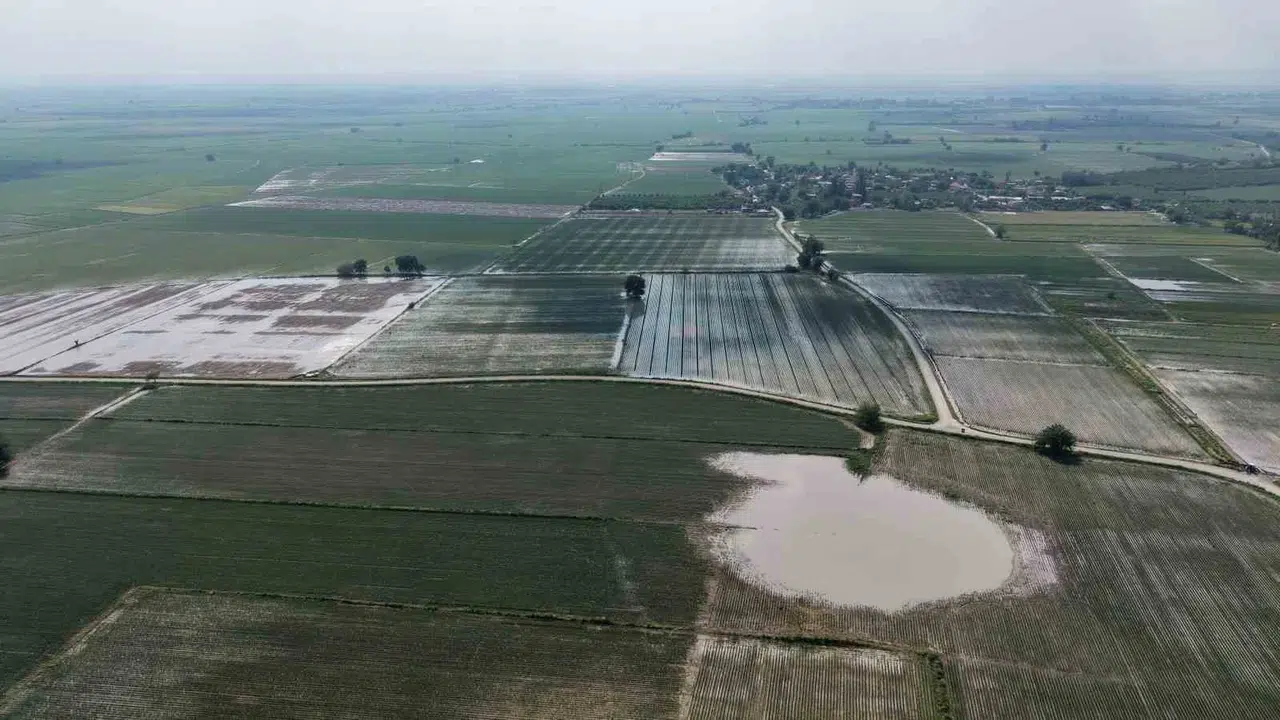 Adana’da doğa felaketi: Bir saatlik yağış binlerce dönüm tarlayı göle çevirdi
