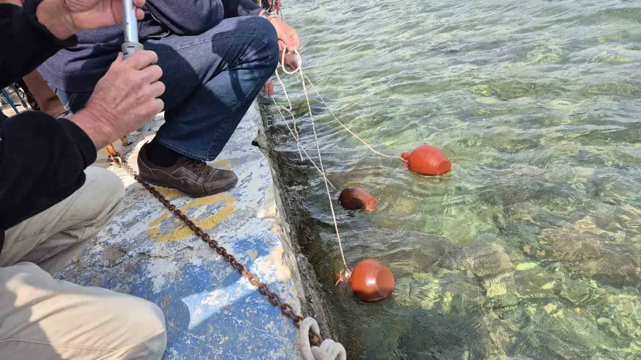 Datça’da çeyrek asırlık gelenek: Akdeniz’in suları Ege’nin maviliğiyle kucaklaşıyor