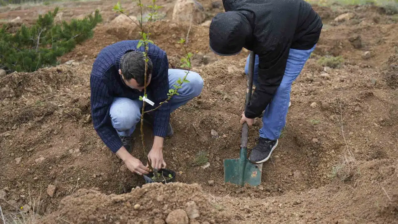 Akademisyenlere  canlı  hediye: Gümüşhane Üniversitesi’nde meyve mirası yeşeriyor