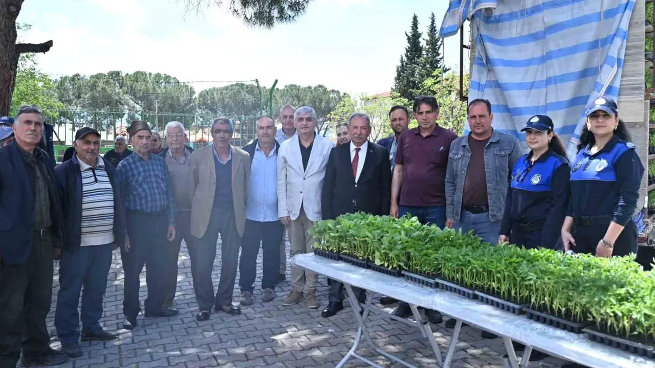 Salihli’de toprak bereketleniyor: Binlerce fide üreticinin yüzünü güldürdü