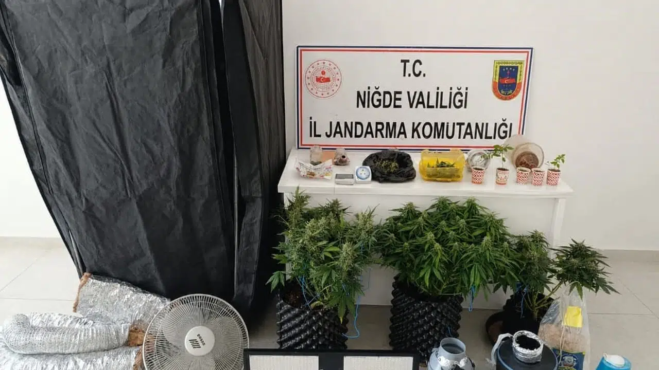 Niğde’de evleri laboratuvara çevirmişler: İklimlendirme düzeneğiyle kenevir üretimine jandarma baskını