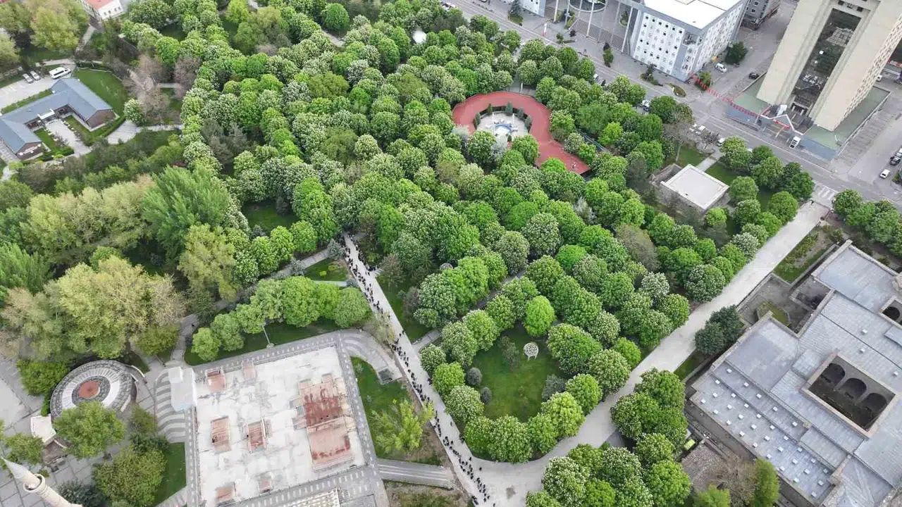Kayseri'de ata tohumu seferberliği: 300 bin fide toprakla buluşmak için kuyruğa girdi