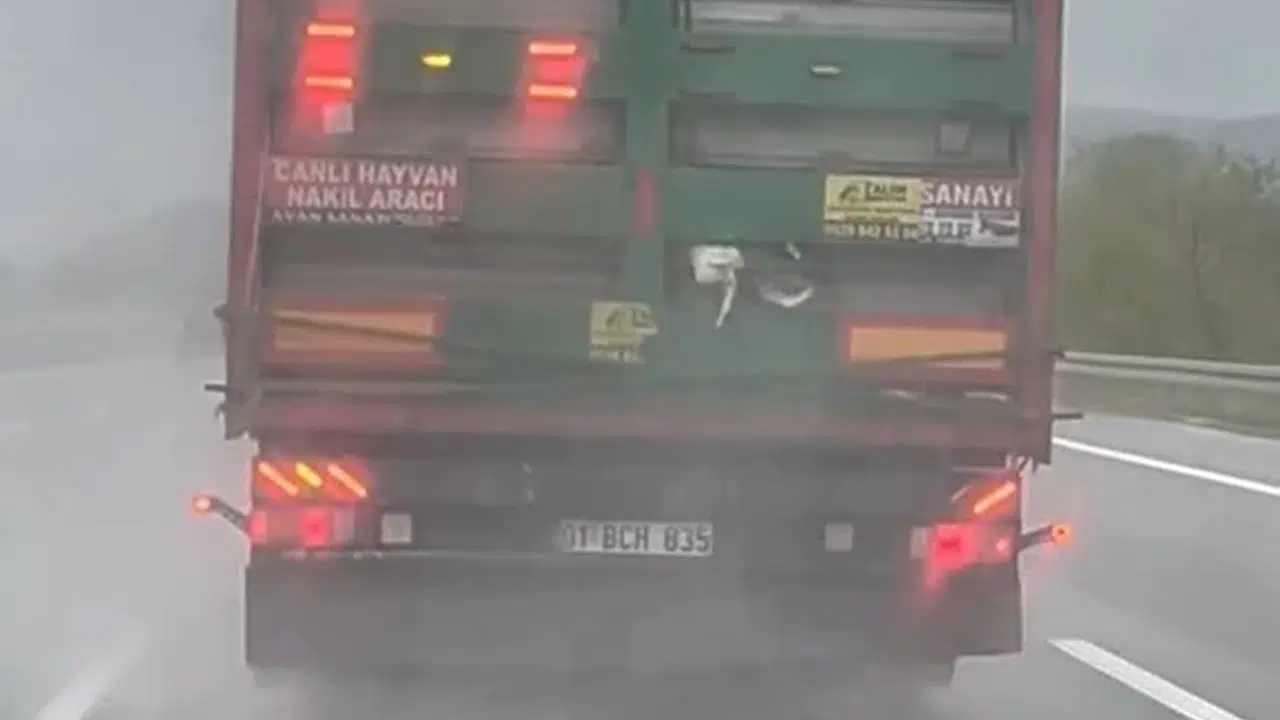 Kuzey Marmara’da dehşete düşüren görüntüler: Tırın dorsesinden sarkan tavuklar trafiği birbirine kattı