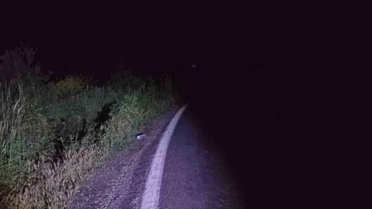 Bilecik'te motosiklet dehşeti: Kontrolü kaybetti, yol kenarına savruldu
