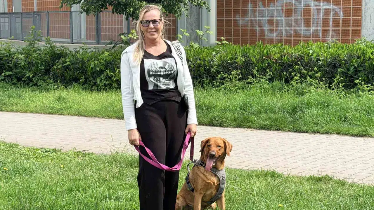 Almanya’da köpek beslemek artık bir  servet  riski: Kurallara uymayanı 25 bin euro ceza bekliyor