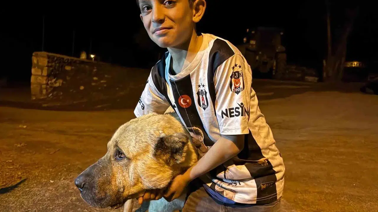 Ölümle burun buruna gelen minik Sencar’ın kahramanı oldu: Kral yine isminin hakkını verdi