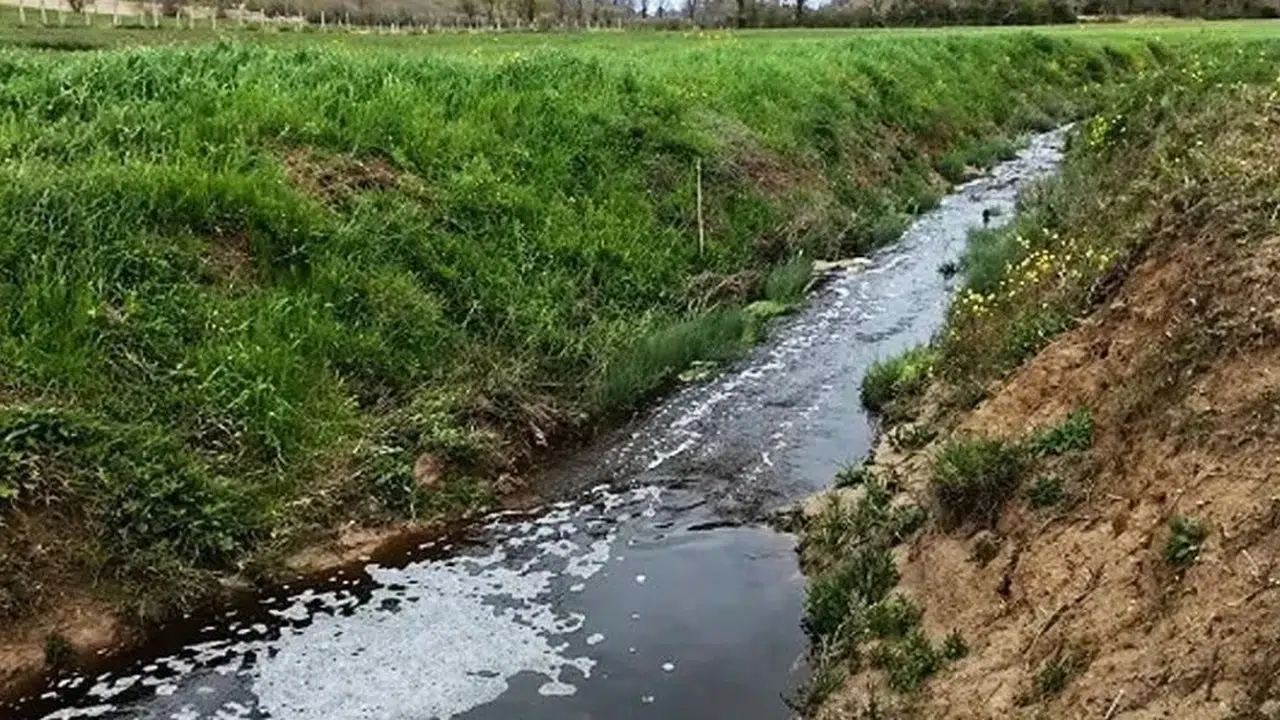 Sinop’ta doğa katliamına ağır fatura: İkinci denetimde ceza ikiye katlandı
