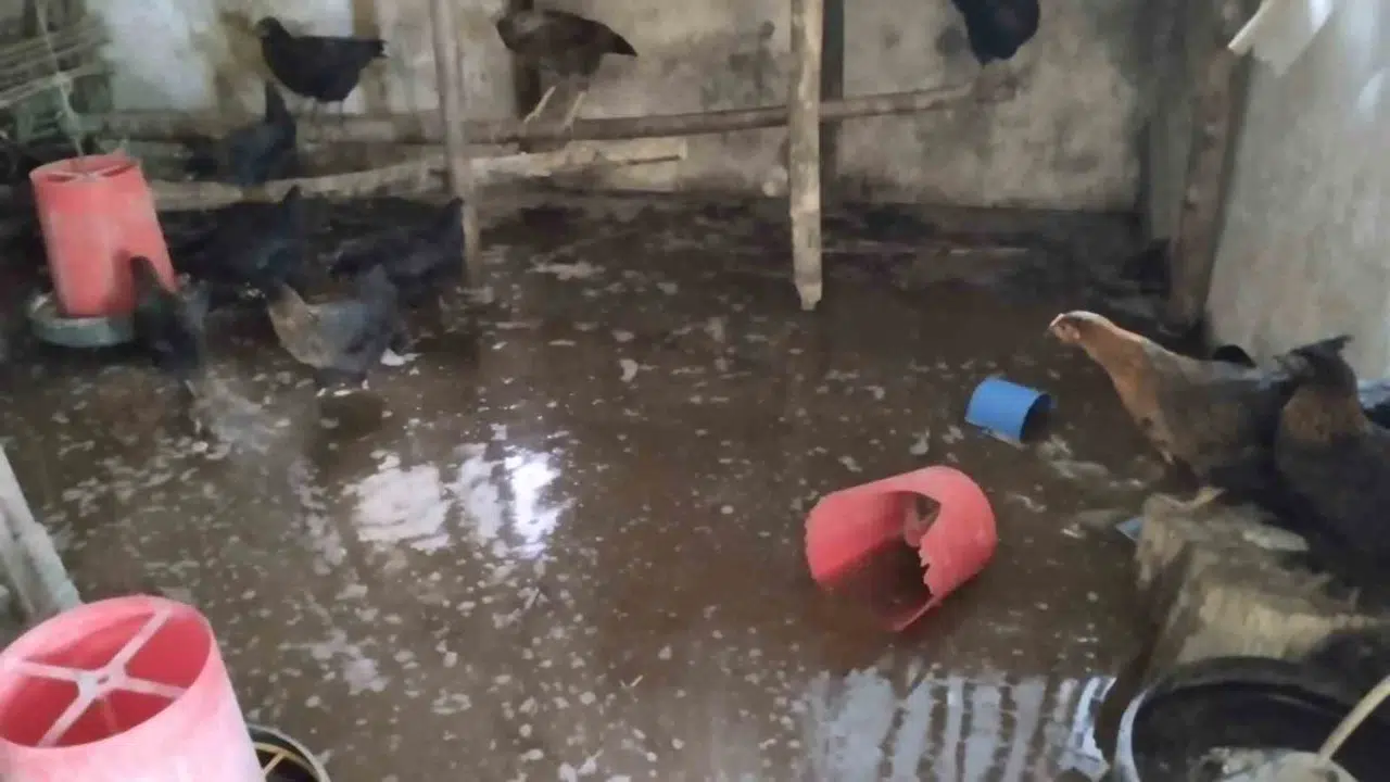 Erzincan’da acı bilanço: Çiftlik sular altında kaldı, emekler boşa gitti
