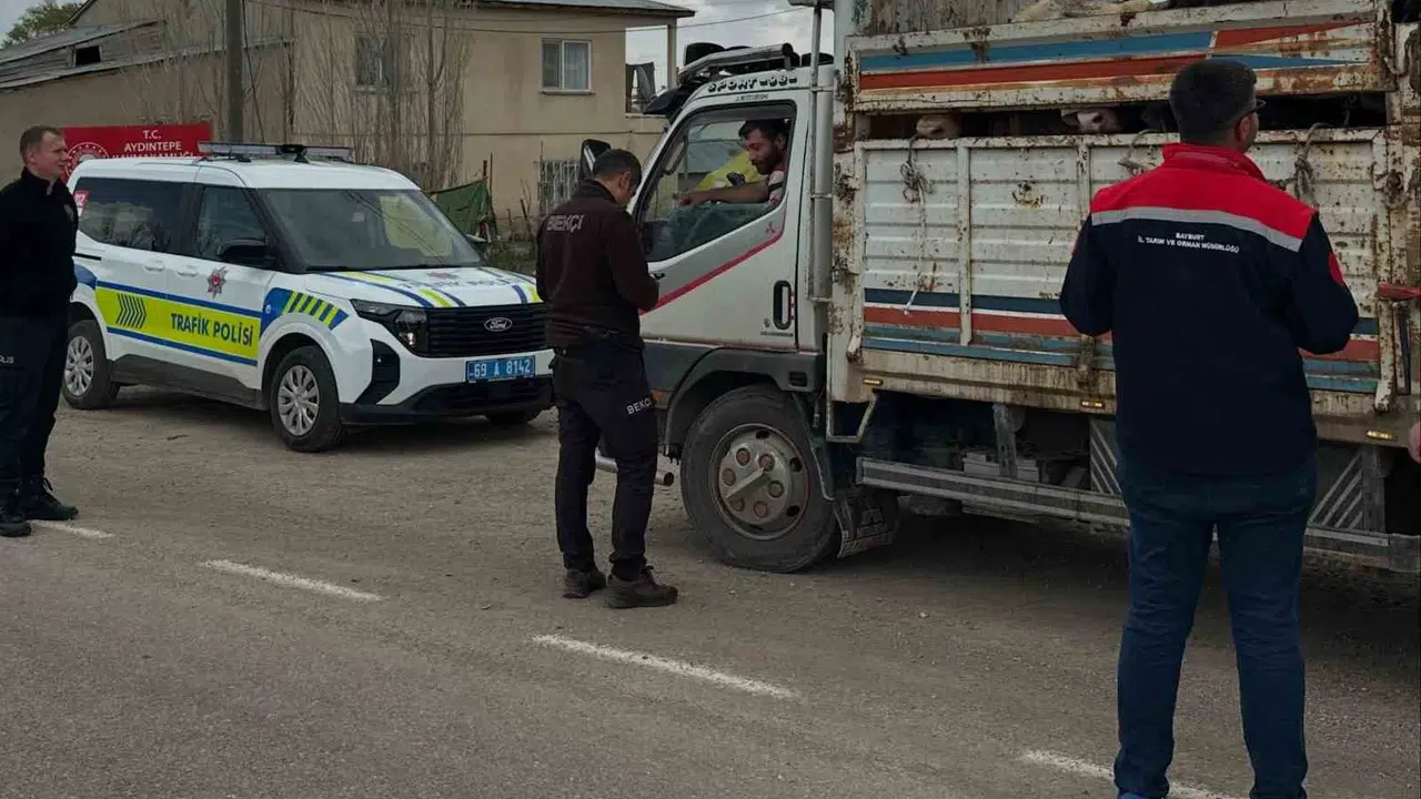 Aydıntepe’de bayram mesaisi: Kurbanlıklar yola çıkmadan sıkı denetimden geçiyor