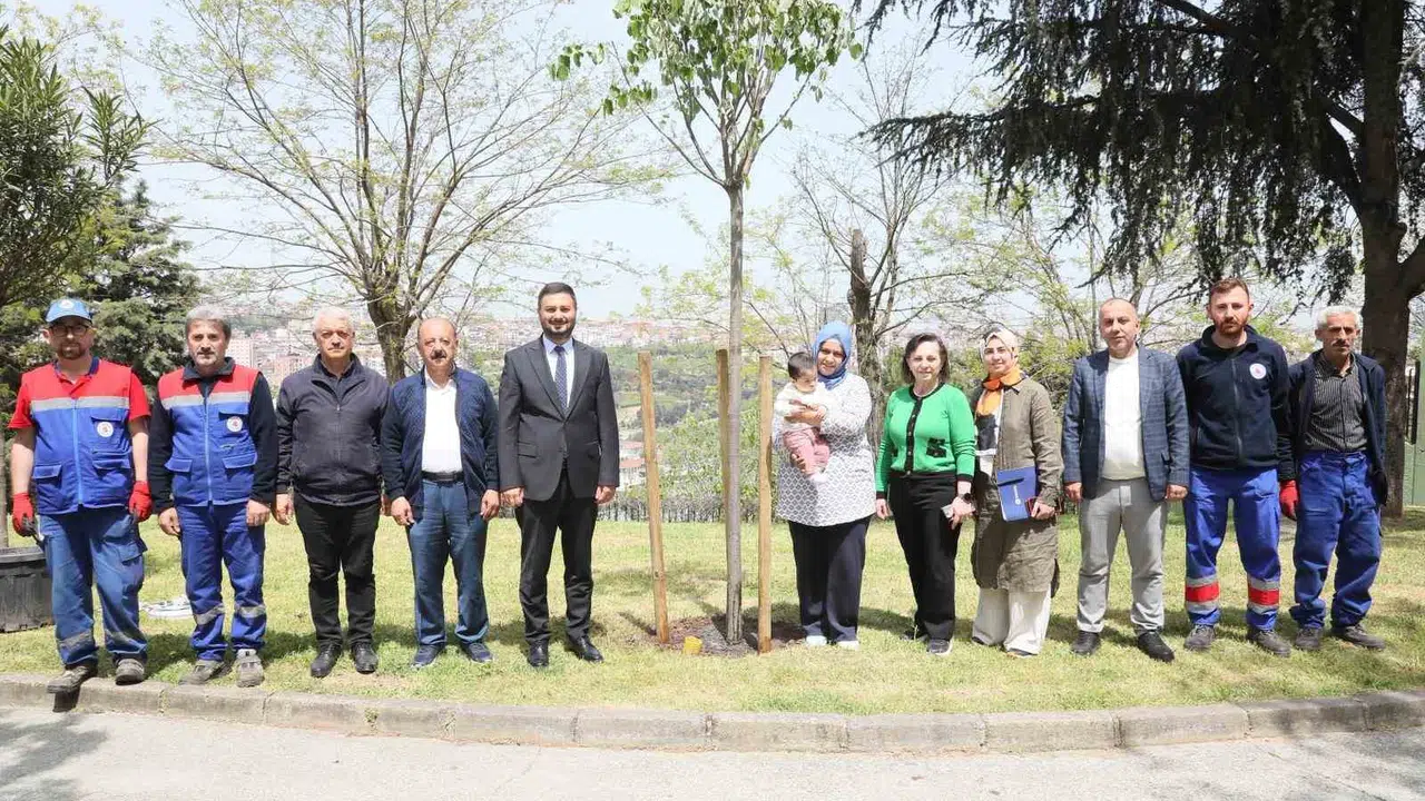 Kağıthane’de dünyaya gelen her bebek için doğaya bir imza atılıyor: İsmi ağaçla yaşayacak