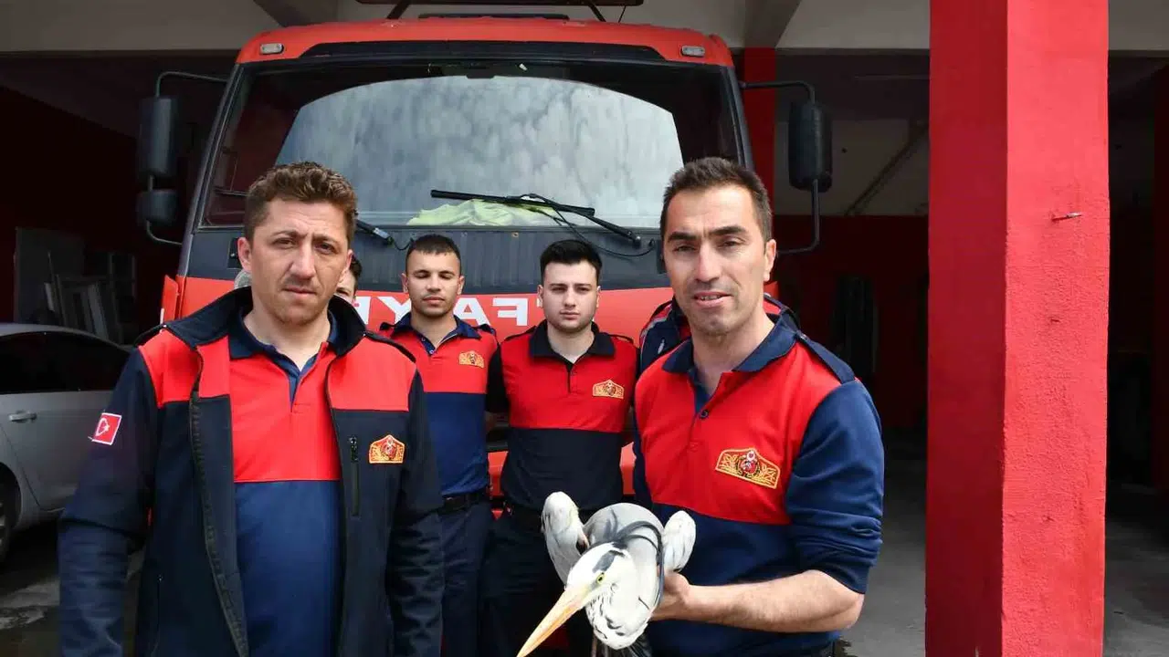 Dere yatağında yaşam mücadelesi veriyordu: İtfaiye ekipleri seferber oldu