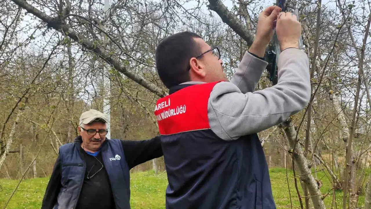 Tarım arazileri için büyük tehdit: Kırklareli'nde istilacı türe karşı alarm verildi