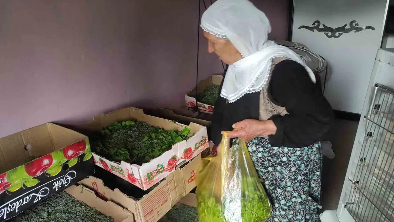 Sason’da ata mirası kazanca dönüştü: 40 günde 350 bin lira gelir kapısı