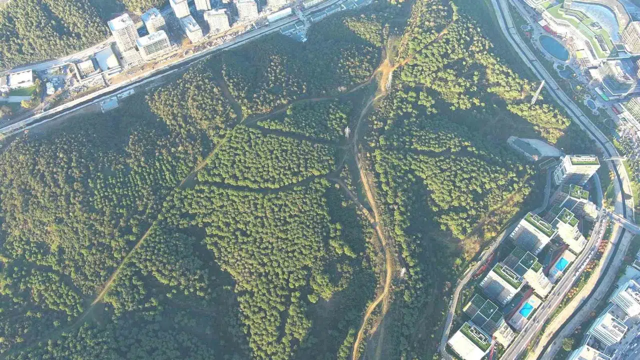 Beton yığınlarının arasında nefes alacak yer arayanlara müjde: Kağıthane yeşile boyandı