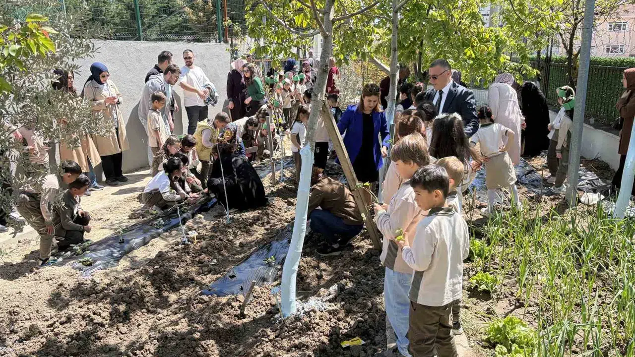 Beton yığınlarından doğaya uzanan yolculuk: Minik eller 120 çilek fidesiyle geleceği yeşertiyor