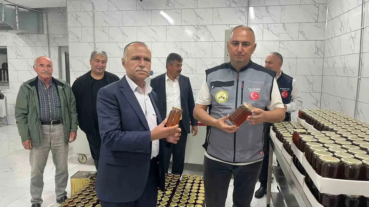 Arıcılıkta alarm zilleri: İklim krizi bal üretimini tehdit ediyor