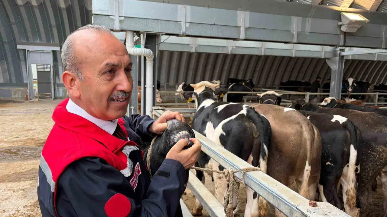 Balıkesir'de Kurban Bayramı mesaisi: 256 noktada kesim onayı çıktı