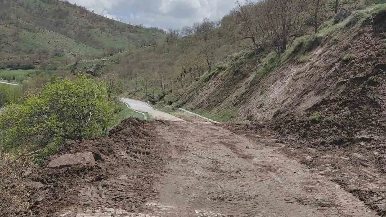 Doğa tutkunlarına müjde: Yedikapı Tabiat Parkı’na ulaşım yeniden sağlandı