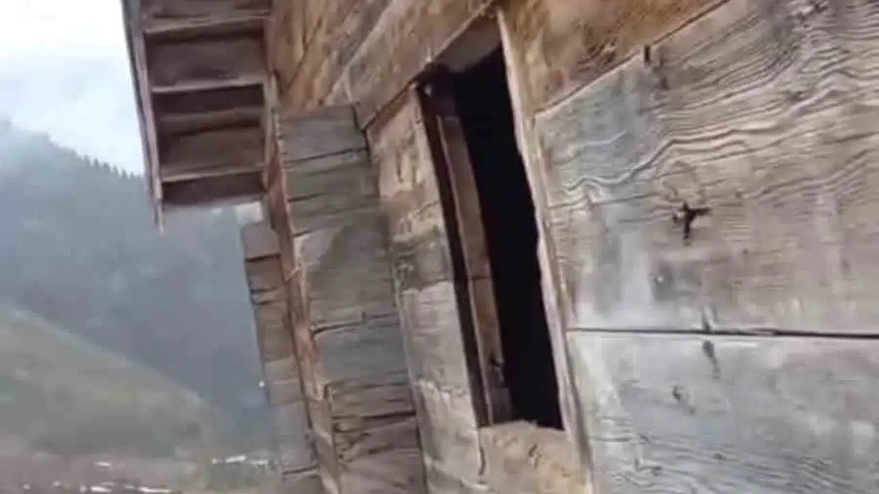 Ayı ile  nezaket  pazarlığı: Yayla evini talan eden davetsiz misafire anahtarın yerini gösterdi