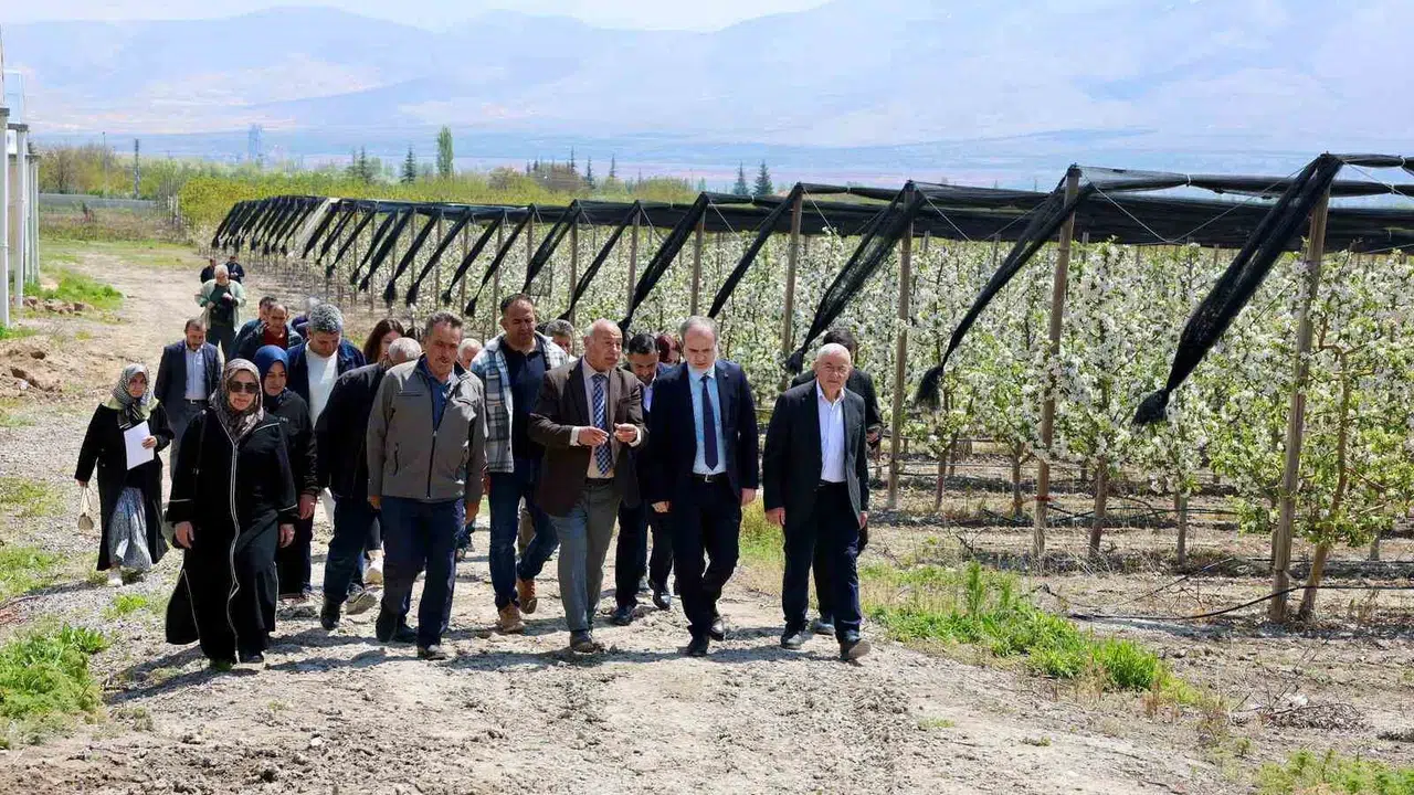 Arıcılıkta verim dönemi: Niğde’de üreticiler uzmanlaştı