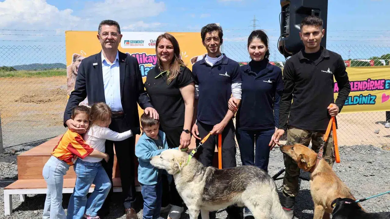 Çekmeköy’de sevgi dolu buluşma: Can dostlar yeni ailelerine kavuştu