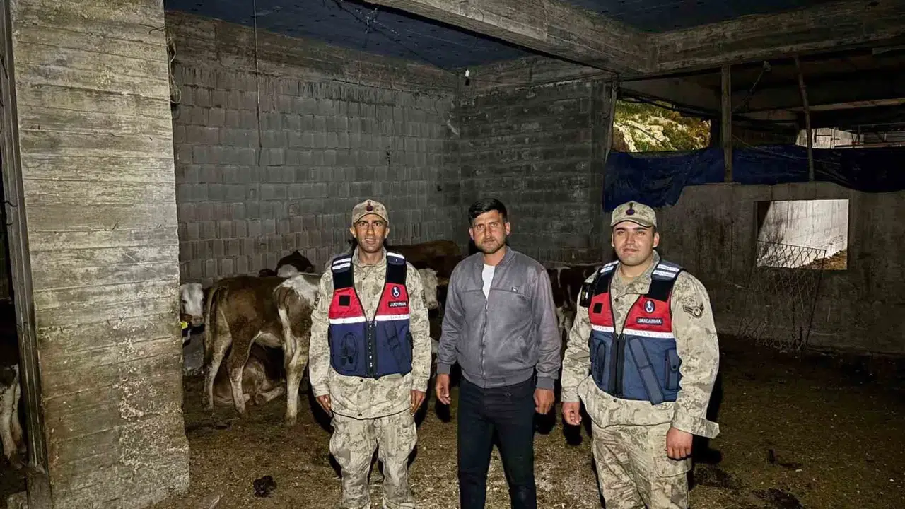 Kilis’te kayıp ihbarı paniği kısa sürdü: Jandarma ekipleri sürüyü arazide buldu