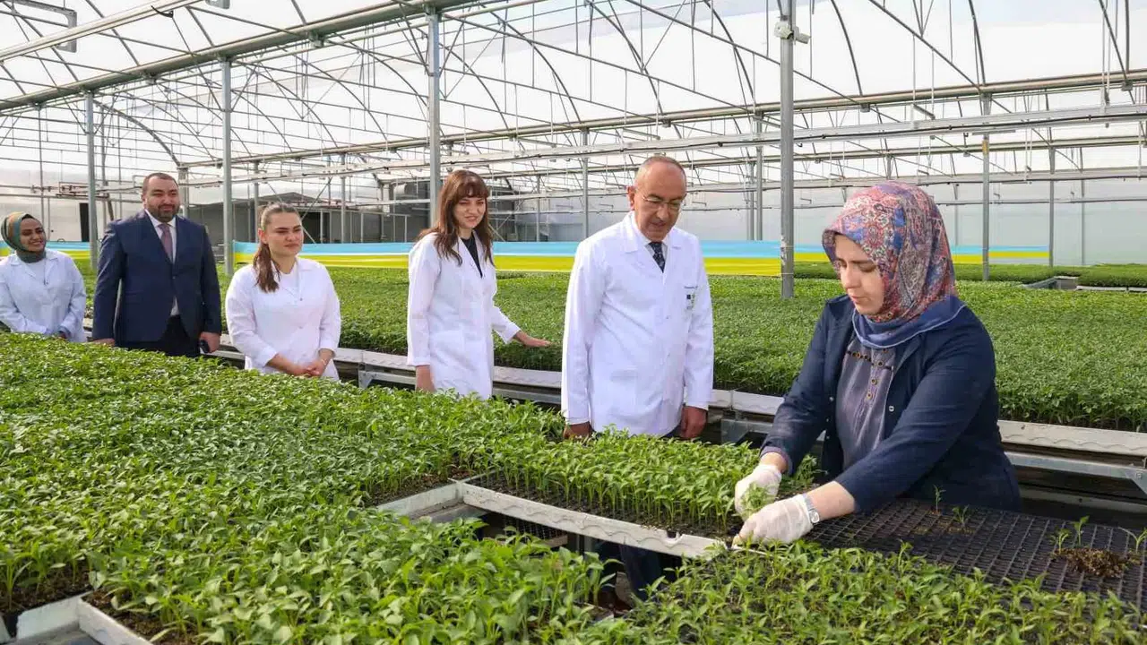 Tarlada bereketin adresi belli oldu: Konya Fide’de sezon startı verildi