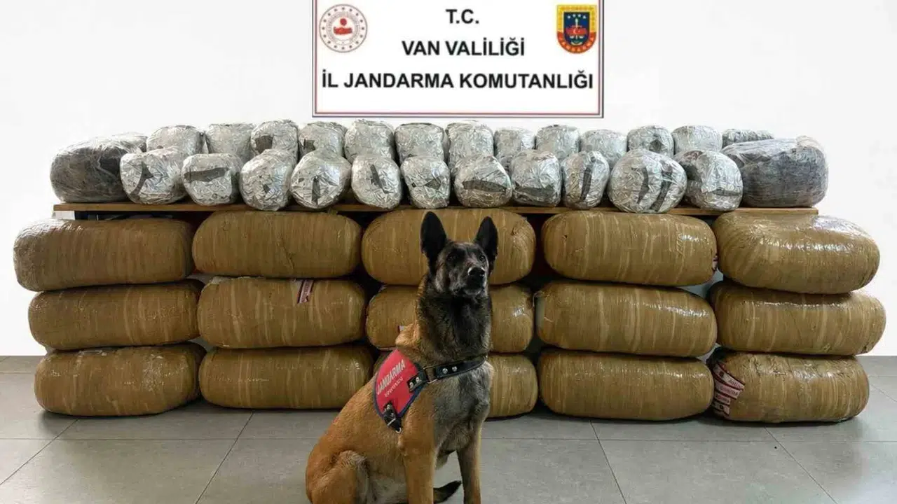 Van'da zehir tacirlerine ağır darbe: 21 gözaltı