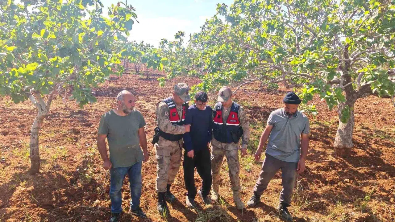 Korkulu bekleyiş mutlu sonla bitti: Jandarma 16 yaşındaki genci fıstık bahçesinde sağ salim buldu