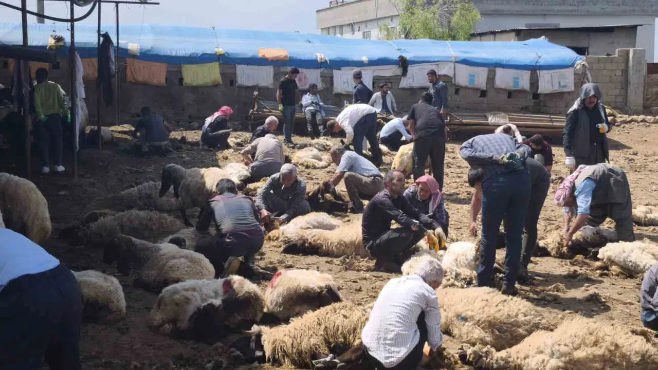 Şırnak’ta asırlık gelenek: Cevezi ile gelen dayanışma bereketi