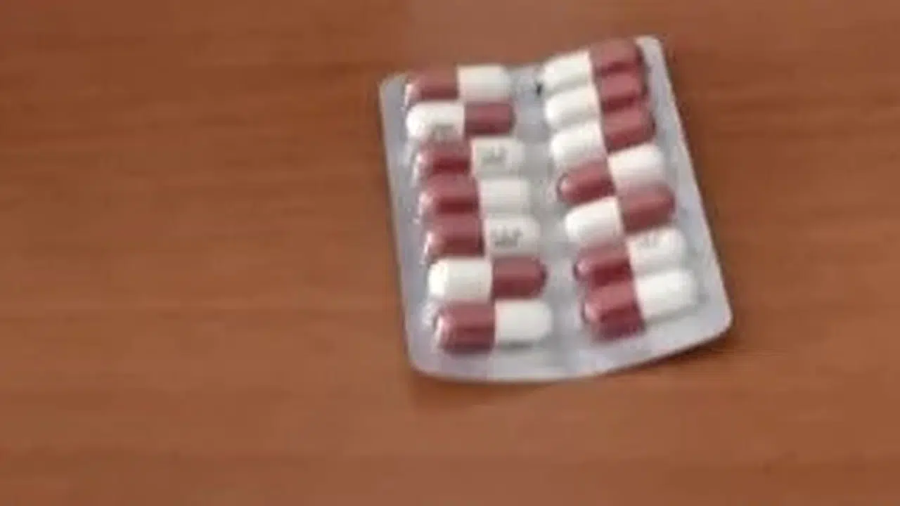 Ordu’da zehir tacirlerine geçit yok: Operasyonun bilançosu ağır oldu