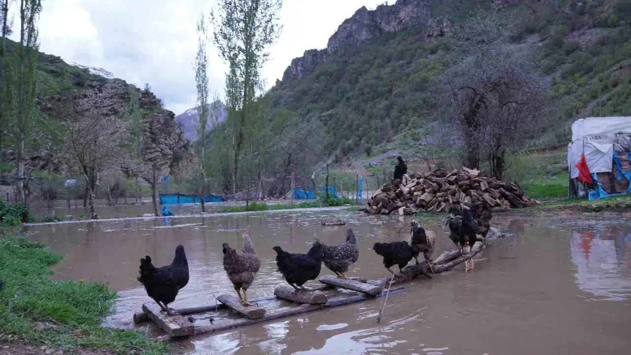 Beytüşşebap’ta doğa felaketi: Habur Çayı taştı, ulaşım ve yaşam durma noktasına geldi