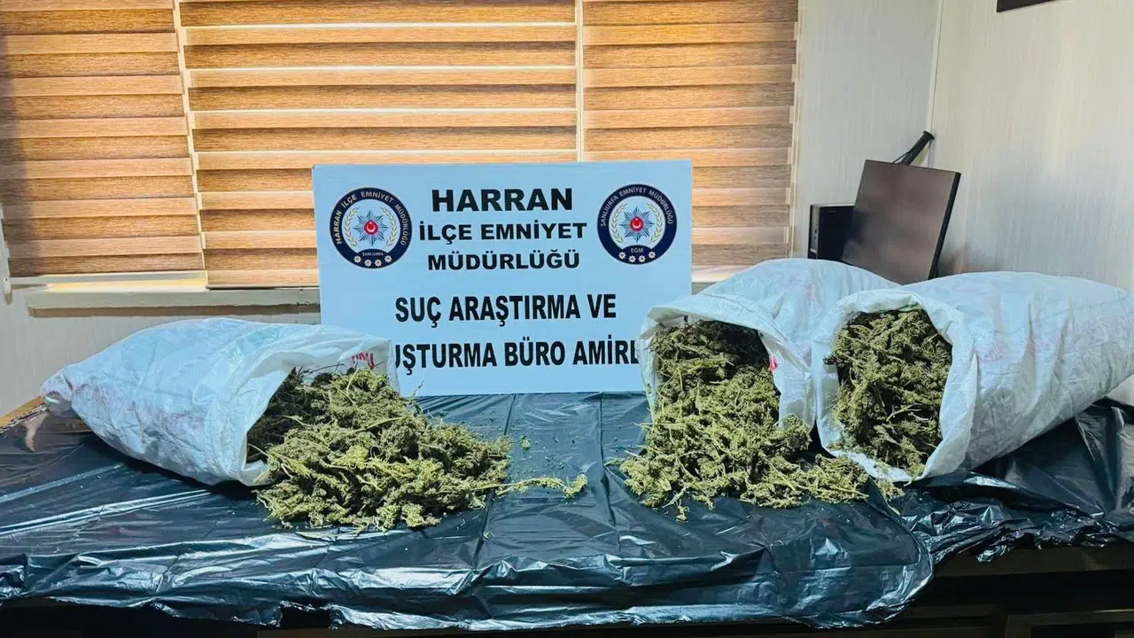 Harran’da zehir tacirlerine geçit yok: Operasyonun bilançosu ağır oldu