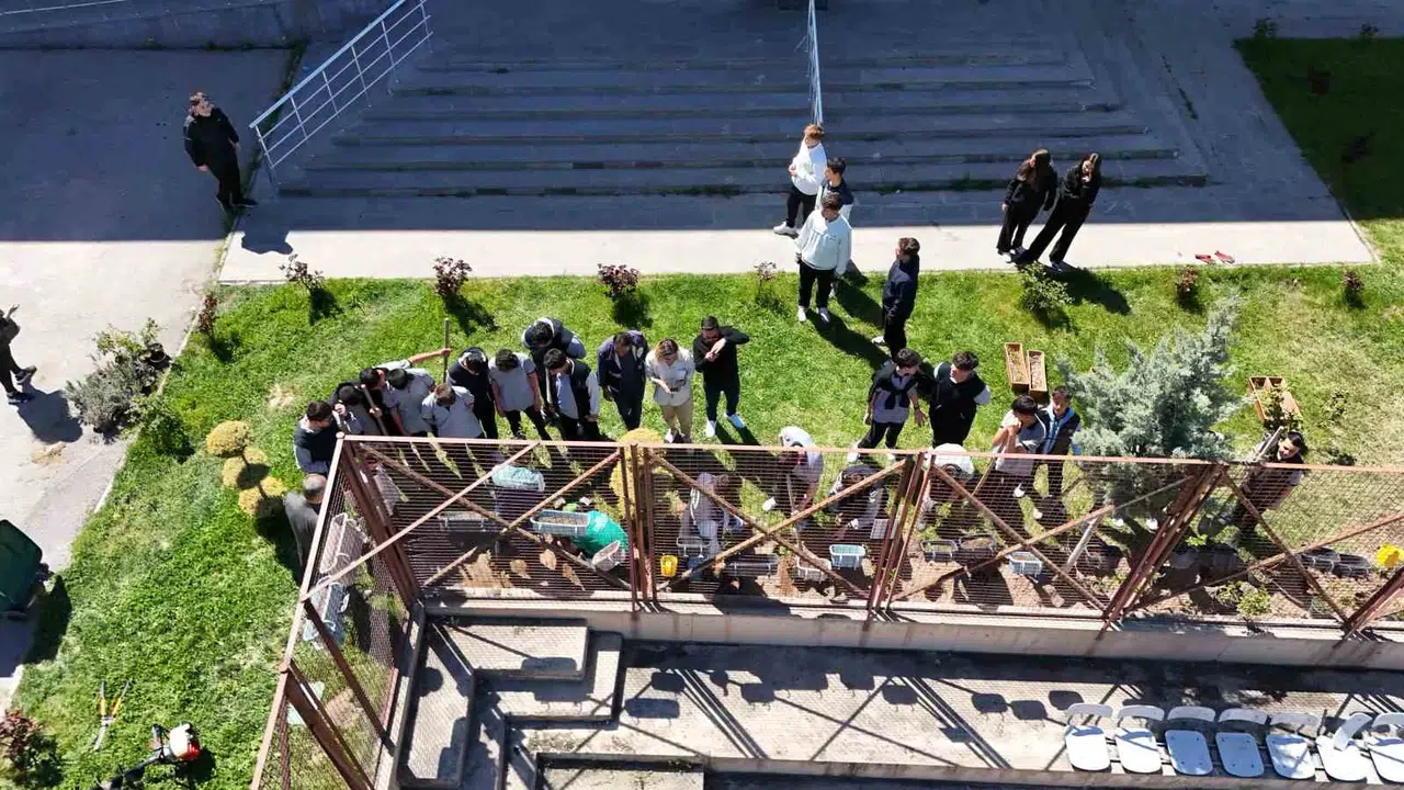 Öğrenciler kendi elleriyle dikti: Okul bahçesi artık mis kokulu bir lavanta bahçesi