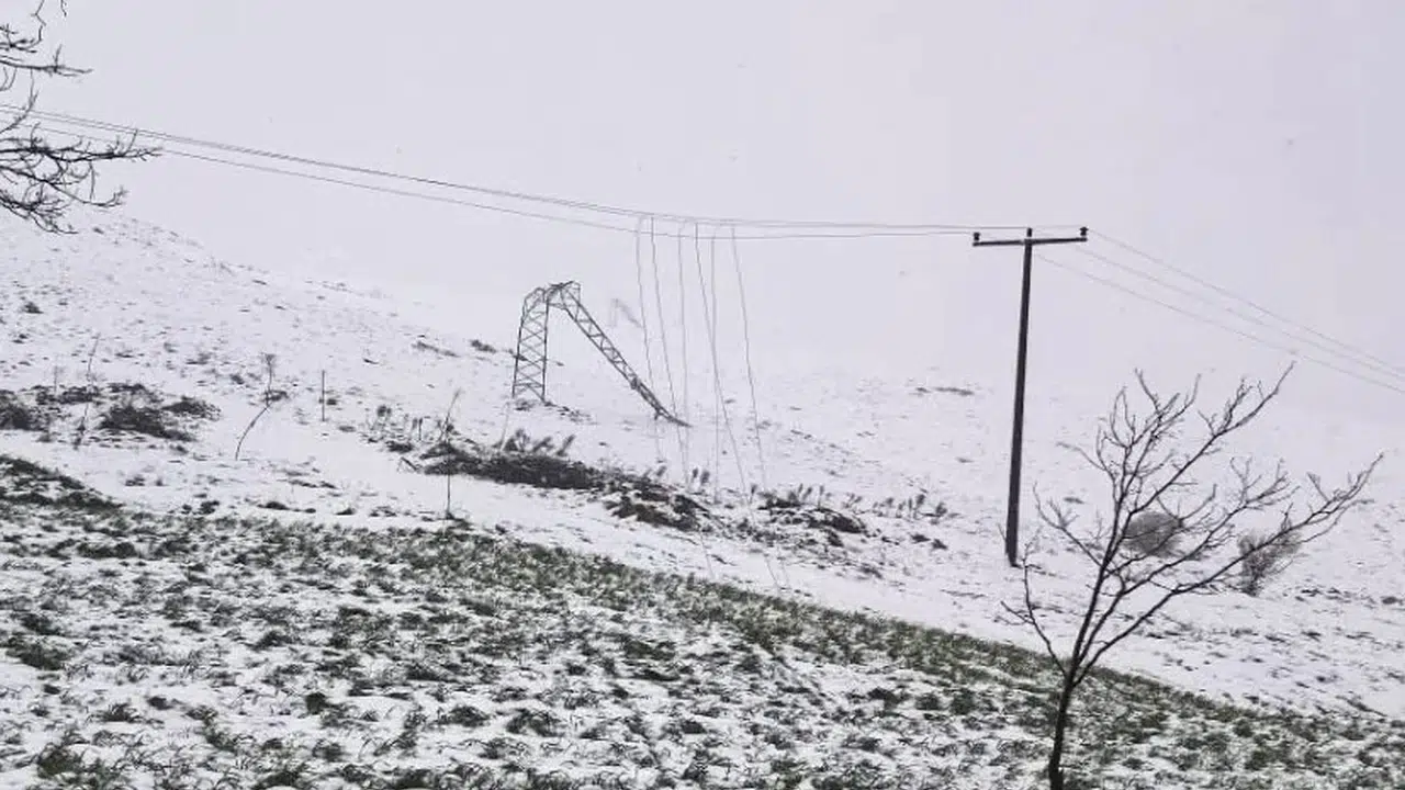 Dodurga'da kış kabusu: Fırtına hayatı felç etti, elektrik hatları çöktü