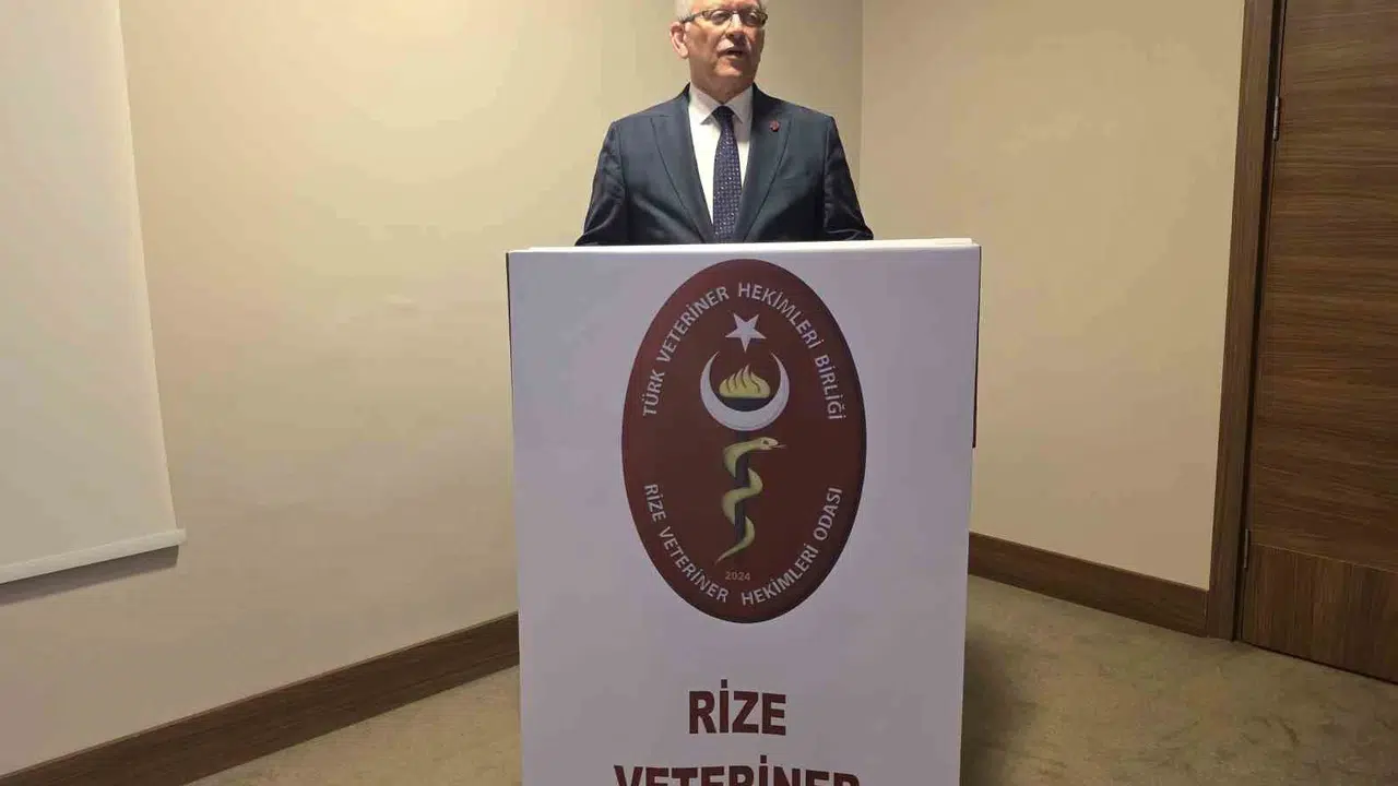 Veteriner hekimlerden Rize zirvesi: Sahipsiz hayvanlar için kritik mesai
