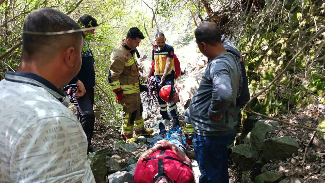 Kekik toplamak için çıktığı uçurumdan 15 metre aşağı çakıldı: Ölümden döndü