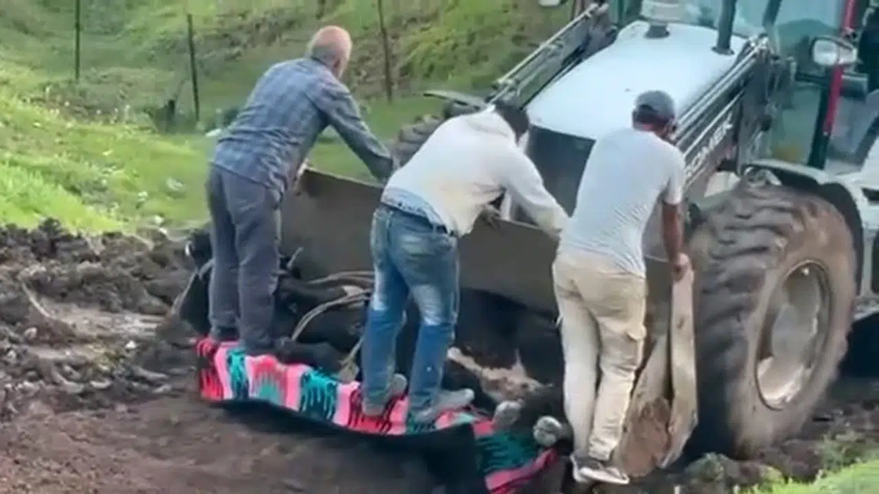 Gece yarısı kaybolmuştu: Çamur deryasında yaşam mücadelesi veren hayvanı sahibi buldu