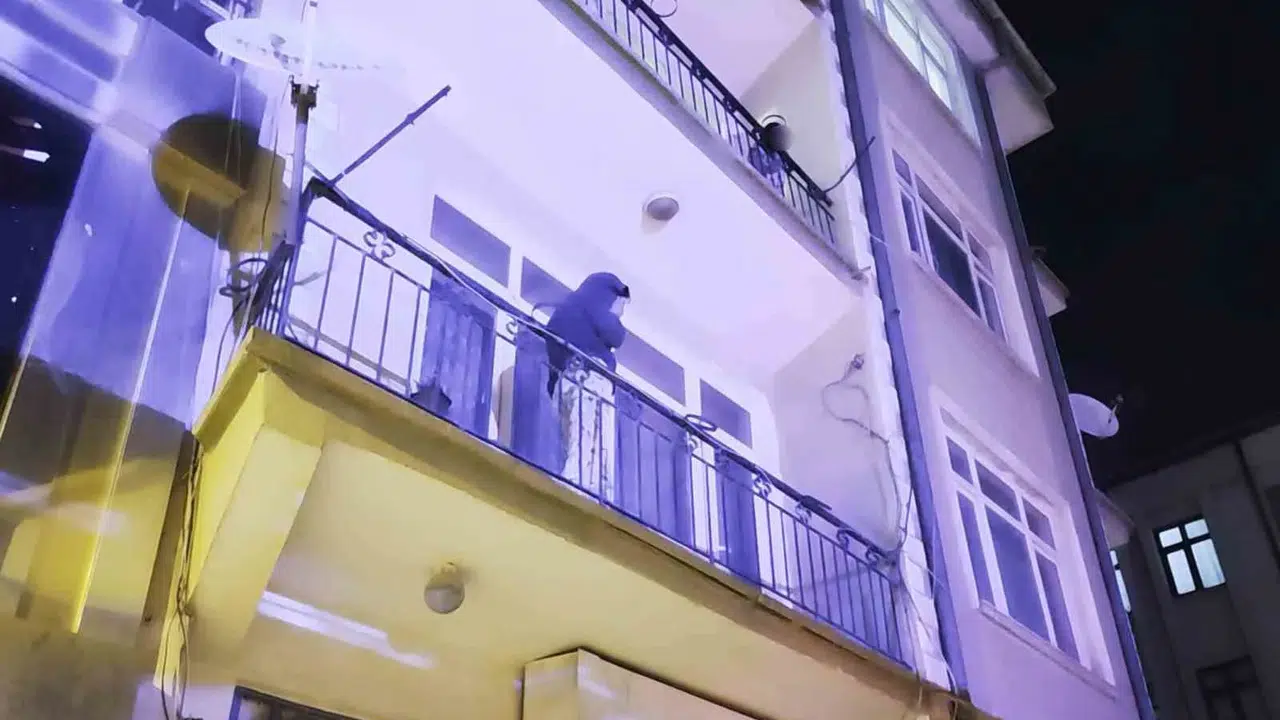 Korku dolu anlar: Eski sevgili dehşetinden kaçmak için balkondan atladı