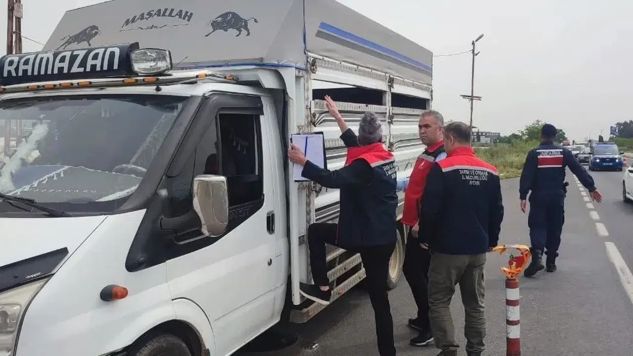Aydın’da kurban hareketliliği başladı: Ekipler yollara indi, denetimler sıkılaştırıldı