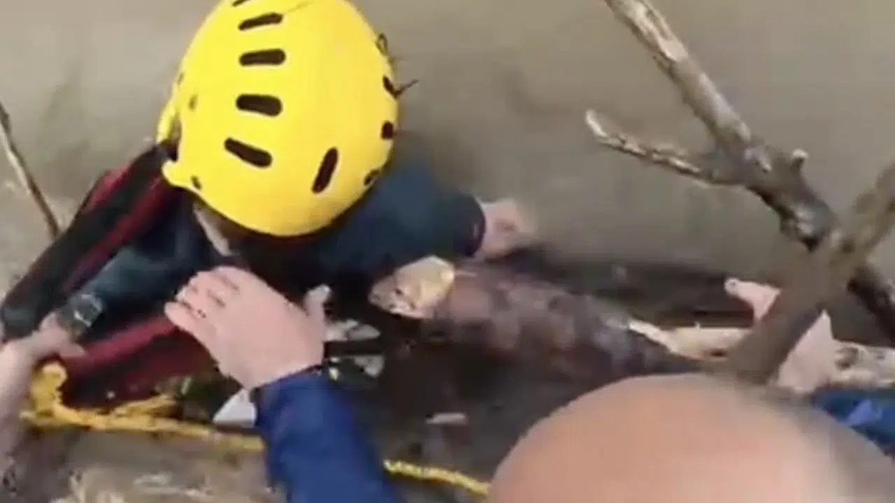 Rafting tutkusu kabusa döndü: Kayıp kadının cansız bedenine ulaşıldı