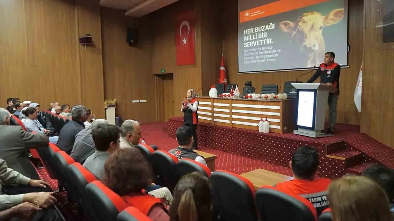 Muğla’da hayvancılığa büyük destek: Buzağı ölümlerine karşı seferberlik başladı