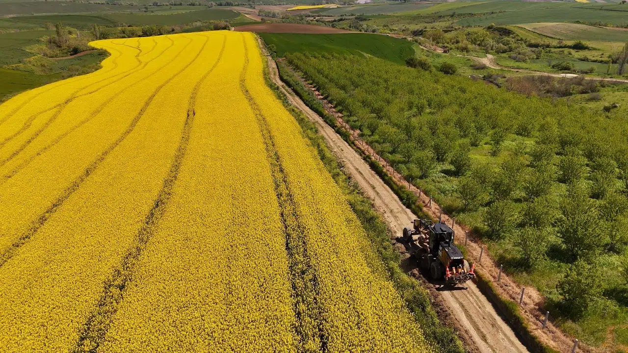 Çiftçinin yüzü gülecek: Tekirdağ’da hasat seferberliği başladı