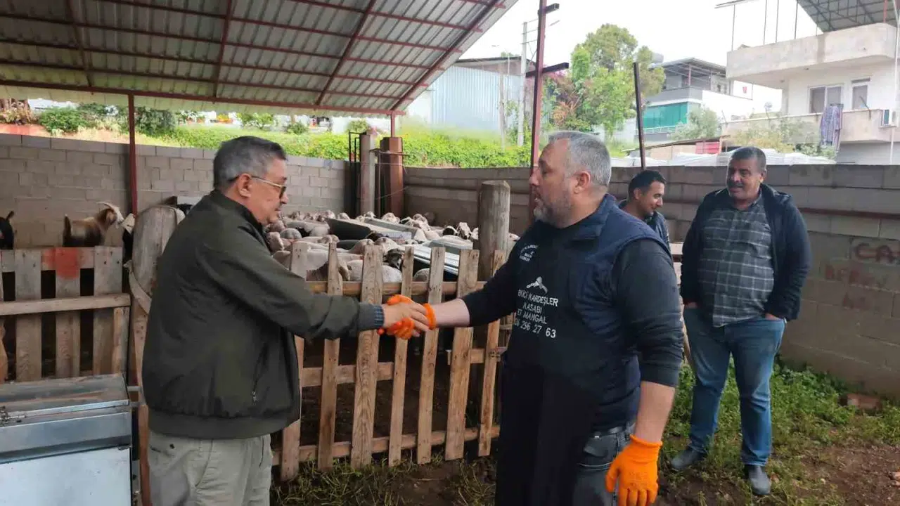 Kurban pazarlarında erken hareketlilik: Bütçeye göre kurbanlık seçimi başladı