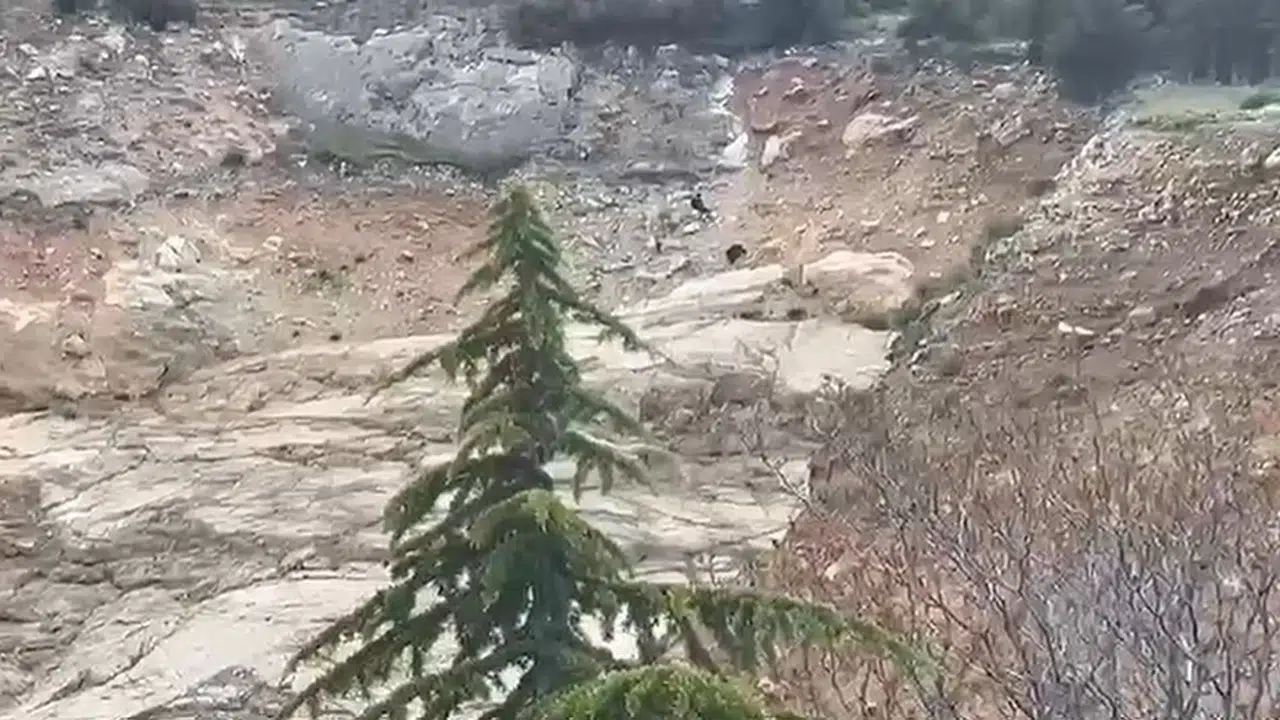Eğirdir’de yürekleri ağza getiren tırmanış: Kayalıklarda mahsur kalan çocuklar için seferberlik